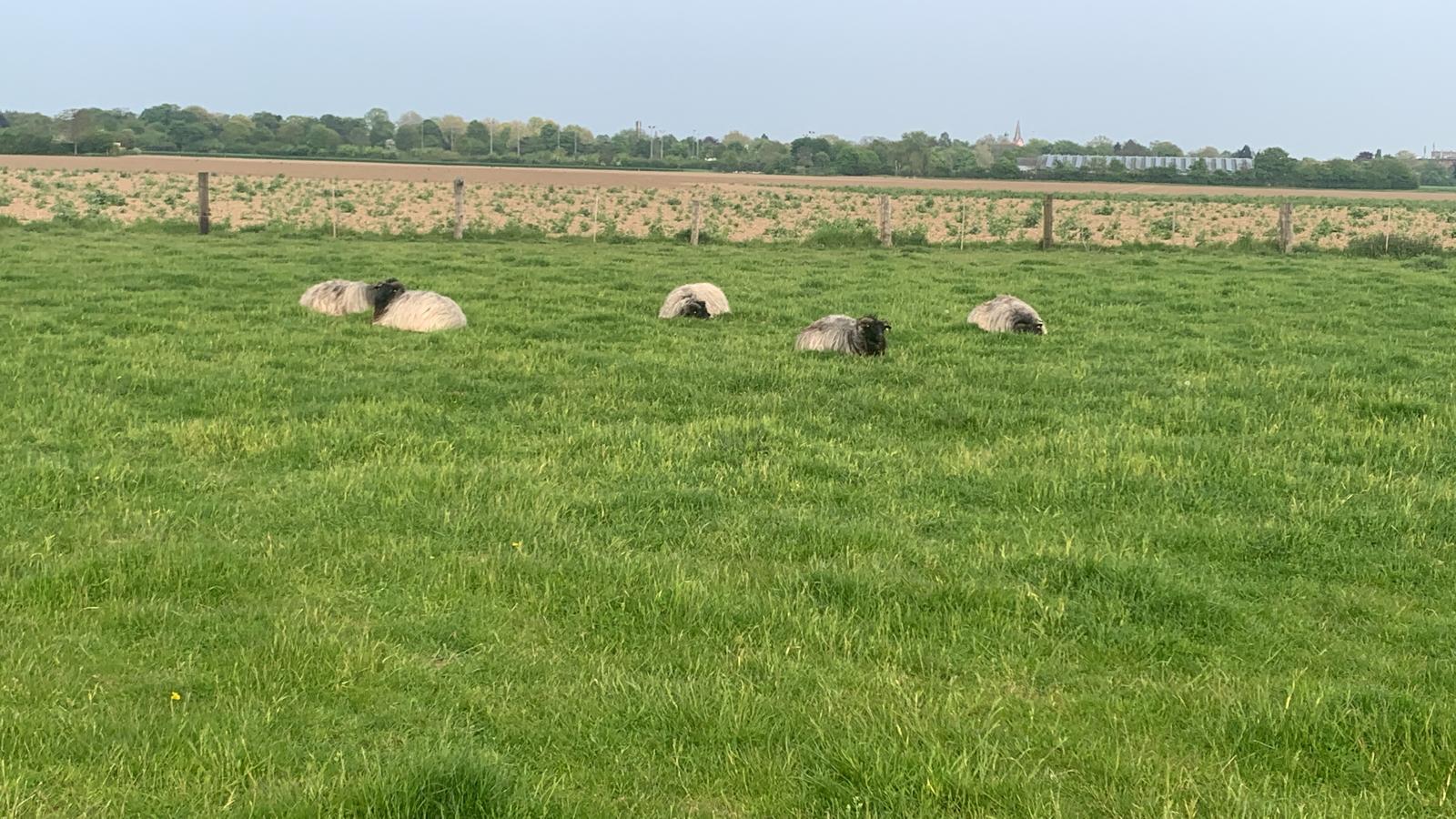 Eindruck vom Schmeddershof